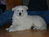 FLOYD